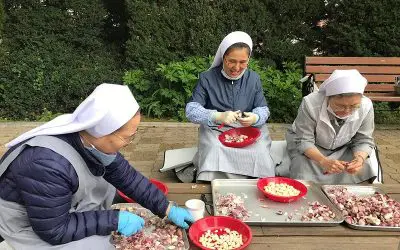 2020.05_주방봉사&농장봉사