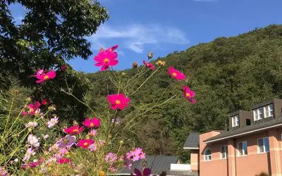 2020.10_홍천 기도의 집 가을 풍경