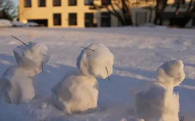 2021.01_수녀원 겨울 풍경