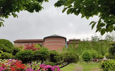 2021.03_봄, 봄, 봄!