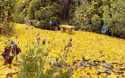 2022.11_깊어가는 가을