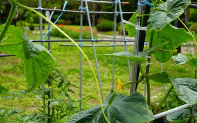 2024.05_뜨거운 봄날