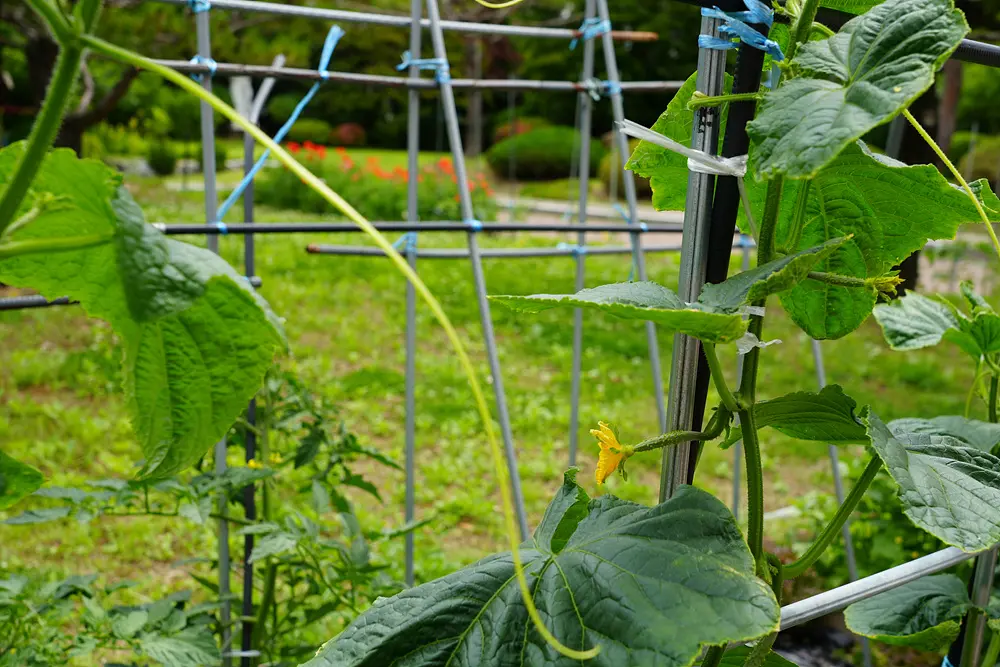 2024.05_뜨거운 봄날