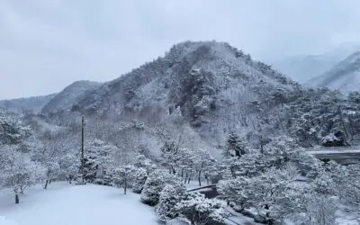 2025.03_홍천 풍경