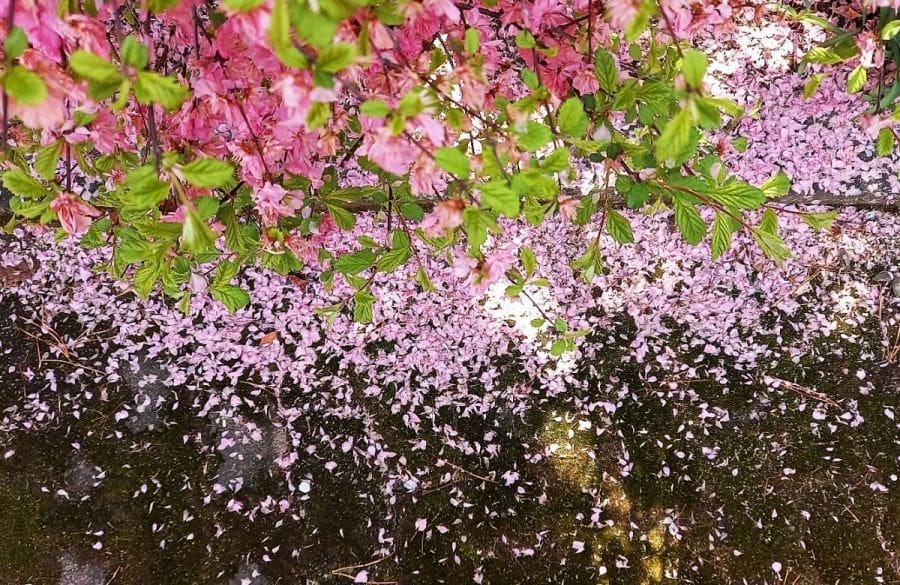 20. 소멸_20230407.jpg