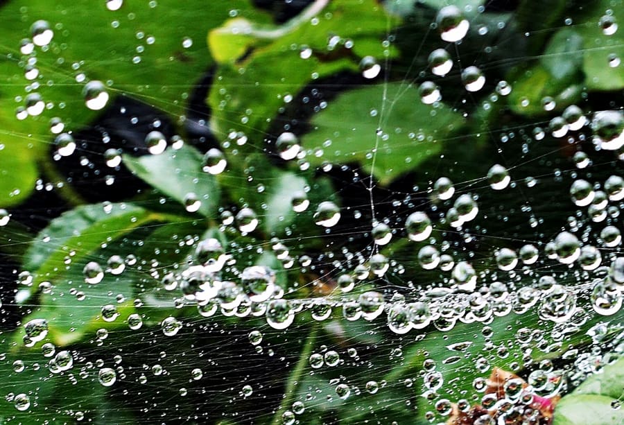 34-담다 sr.gloria.JPG