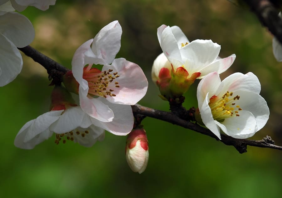 38미소gloria080420 111.jpg