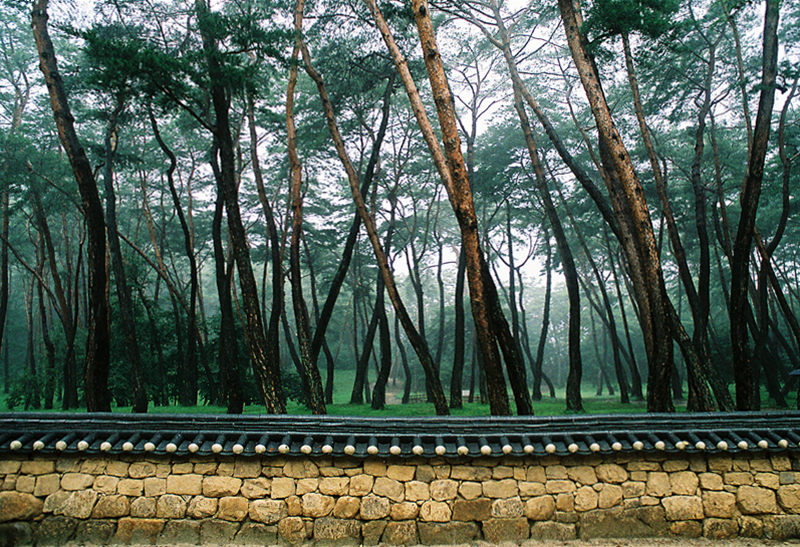44.늘솔길.BMP