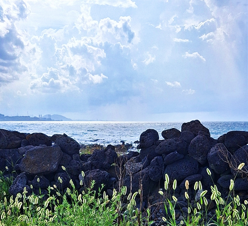 50 순례_20250909_093732390_03.jpg
