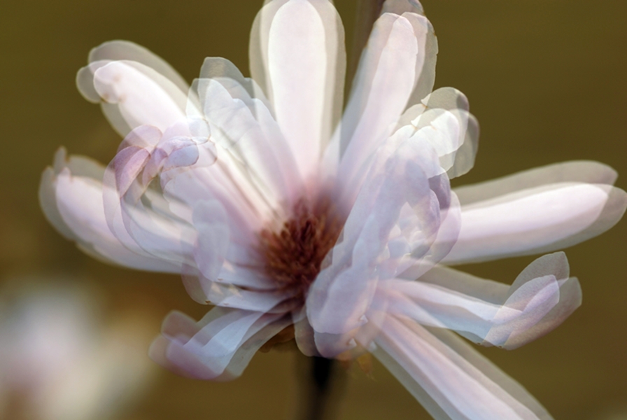 54-gloria080415 017.jpg